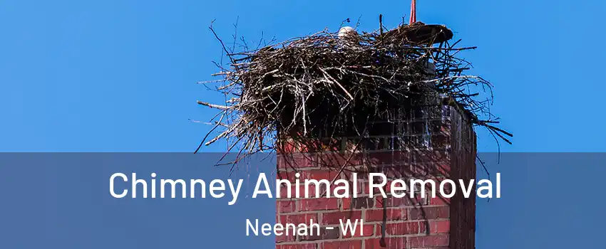  Chimney Animal Removal Neenah - WI