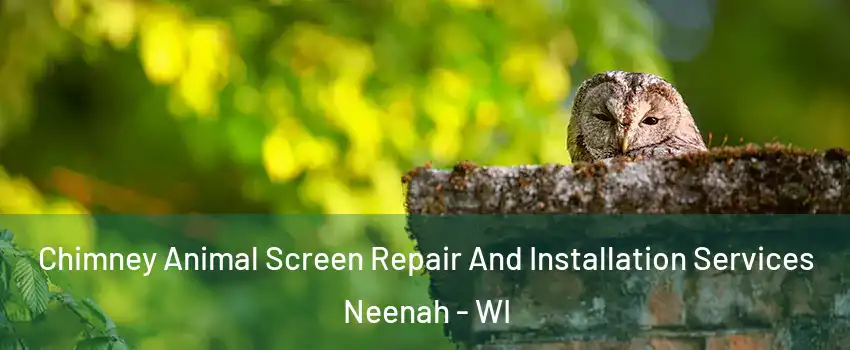  Chimney Animal Screen Repair And Installation Services Neenah - WI
