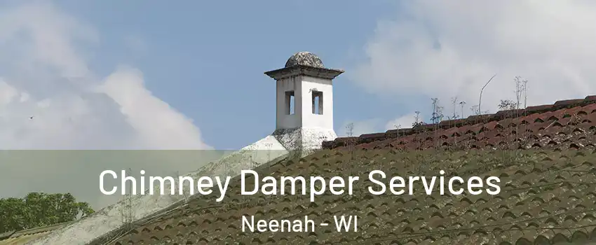  Chimney Damper Services Neenah - WI