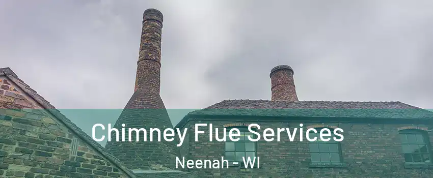  Chimney Flue Services Neenah - WI