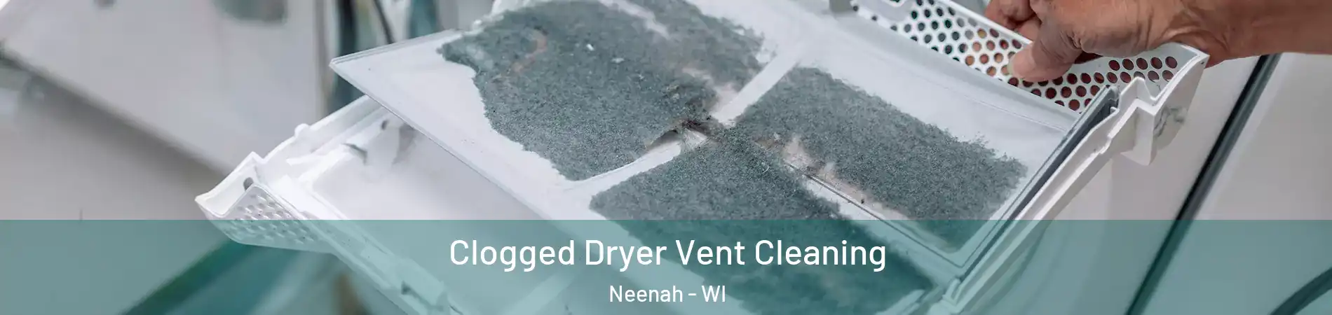  Clogged Dryer Vent Cleaning Neenah - WI