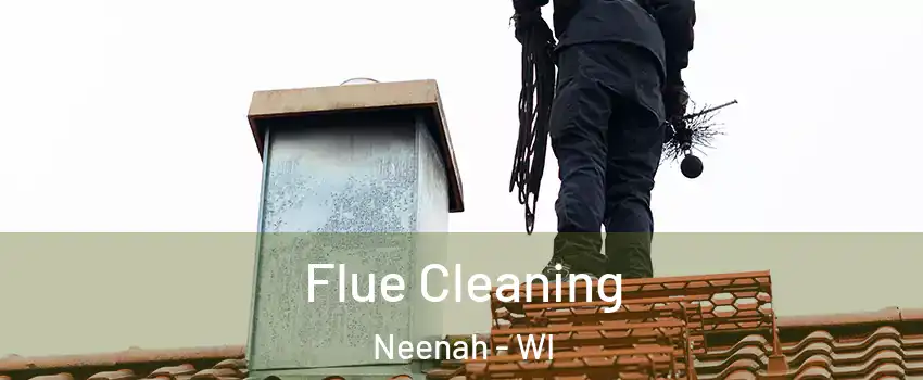  Flue Cleaning Neenah - WI