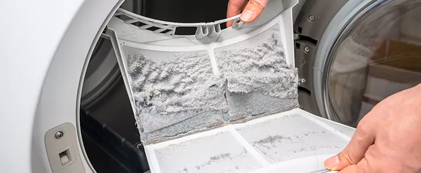 Best Dryer Lint Removal Company in Neenah, Wisconsin