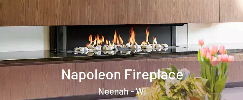  Napoleon Fireplace Neenah - WI